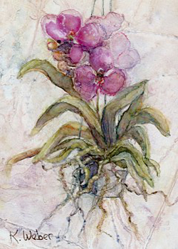 Floating Orchid Katherine Weber Woodstock Il watercolor on terra SOLD